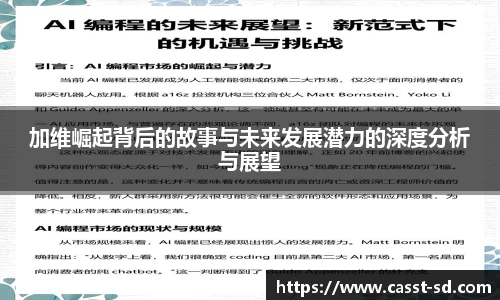 6t体育加维崛起背后的故事与未来发展潜力的深度分析与展望